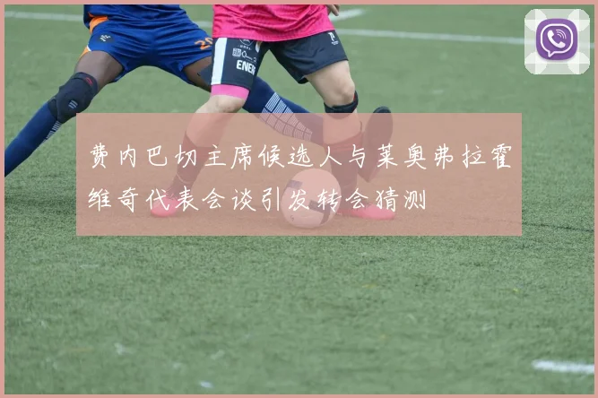 费内巴切主席候选人与莱奥弗拉霍维奇代表会谈引发转会猜测