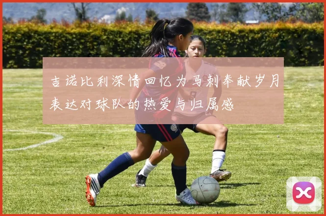 吉诺比利深情回忆为马刺奉献岁月表达对球队的热爱与归属感